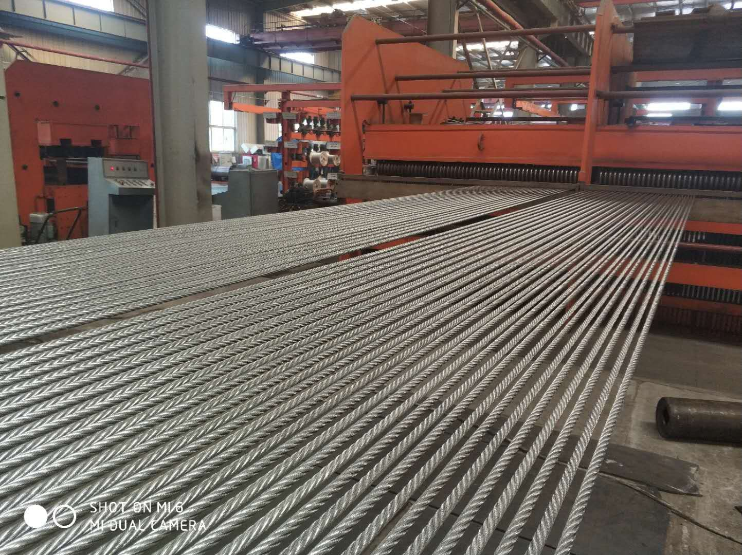 <b>鋼絲繩輸送帶</b>