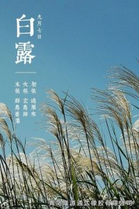 <b>露從今夜白，夜自此日涼！</b>